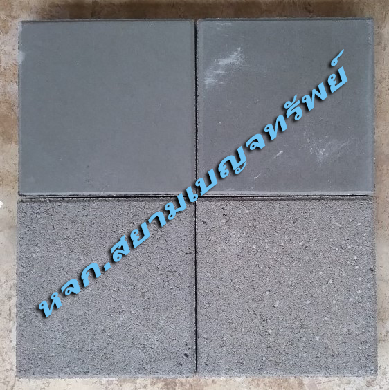 �蹷ҧ��� <br> (Paving Block)